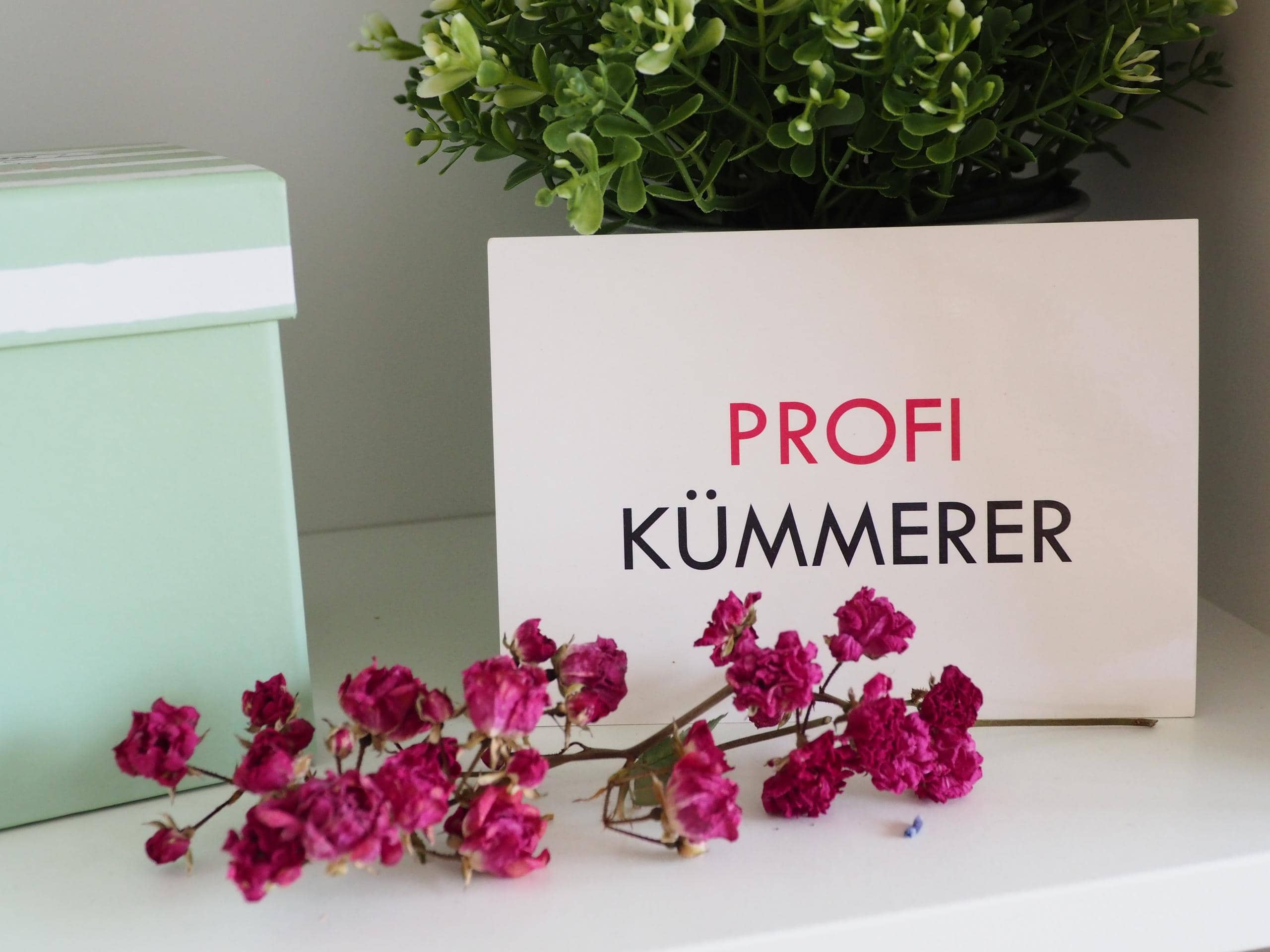 Organisationsberatung