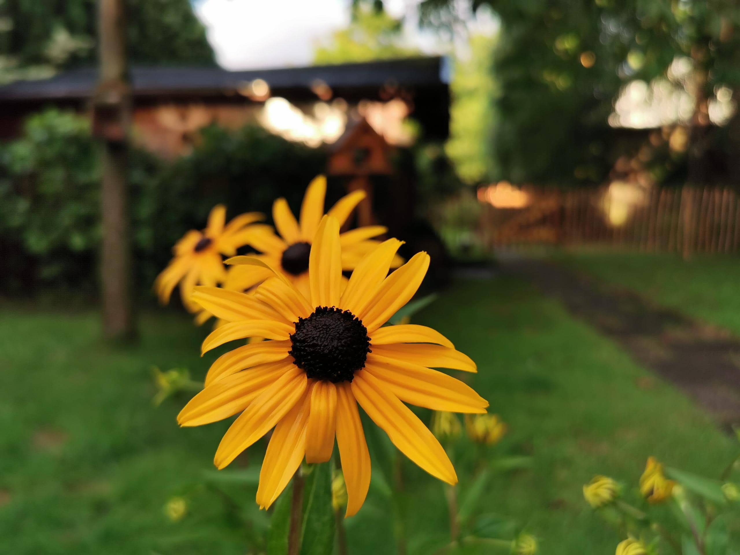Psychologische Beratung